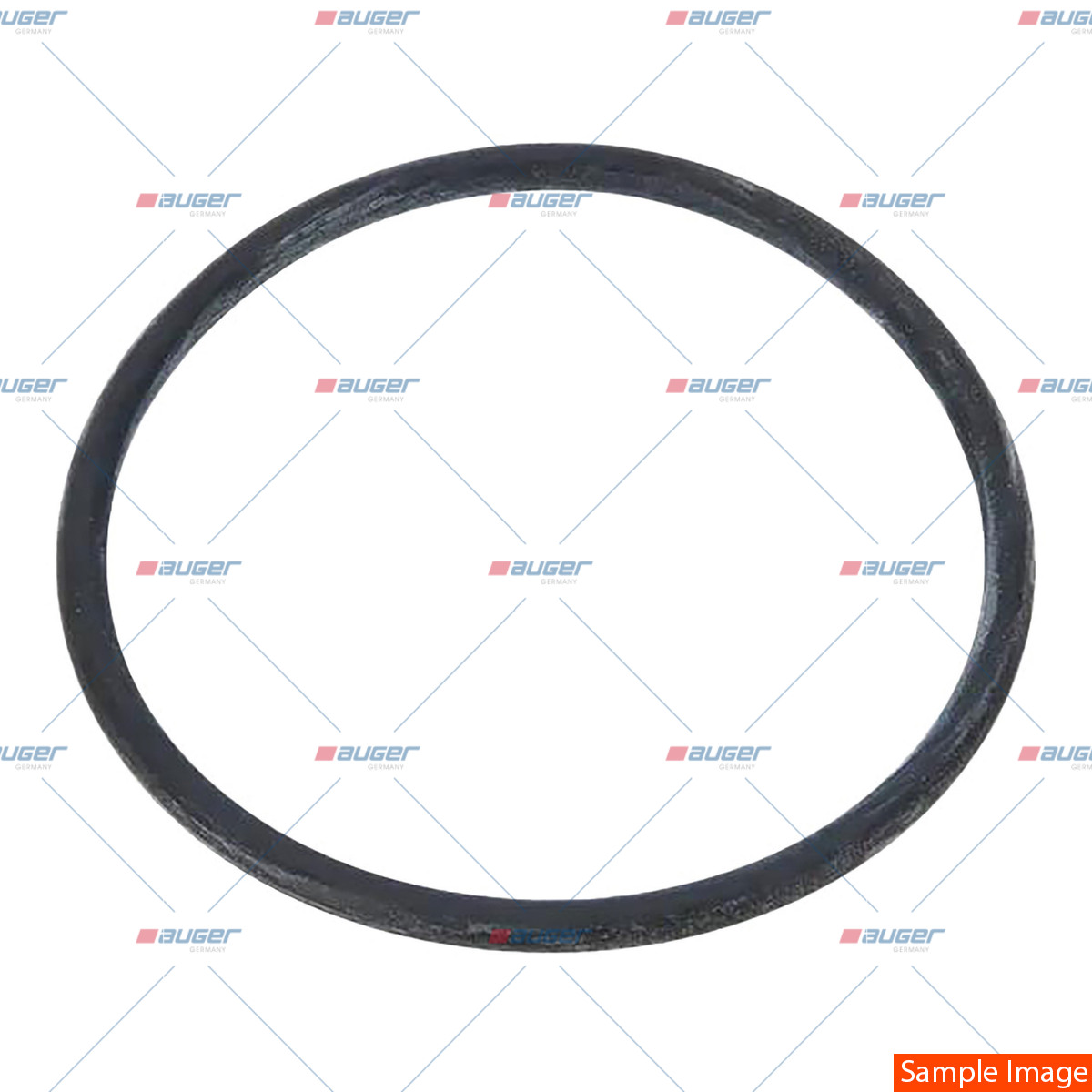 O-ring, Thermostat
