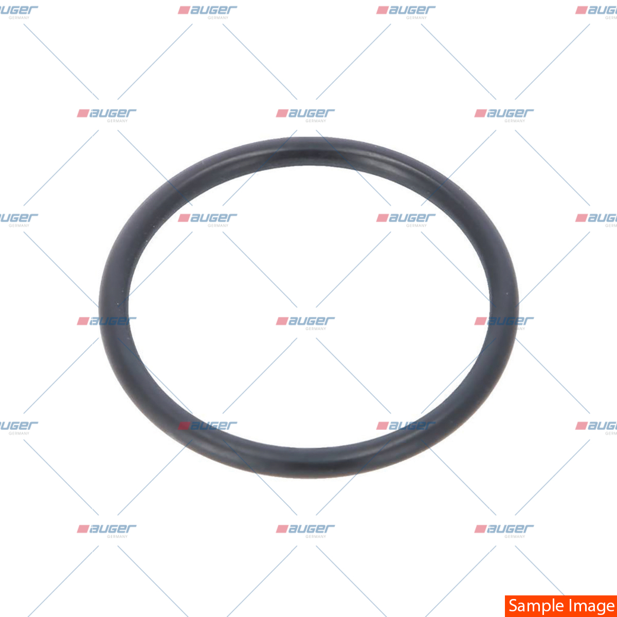 O-ring, Kraftstofftank