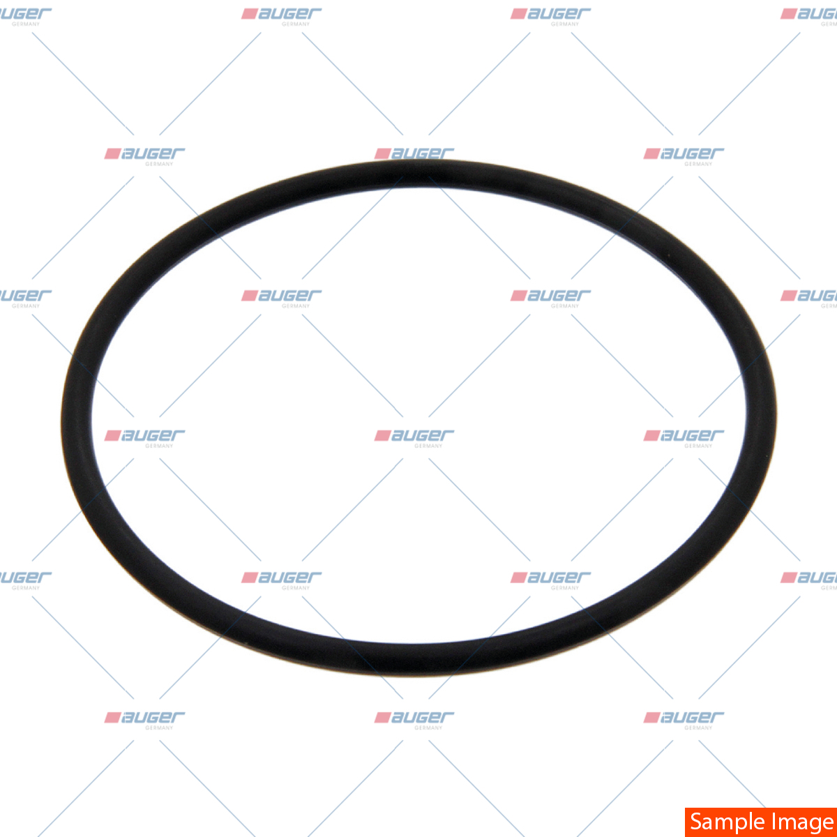 O-Ring