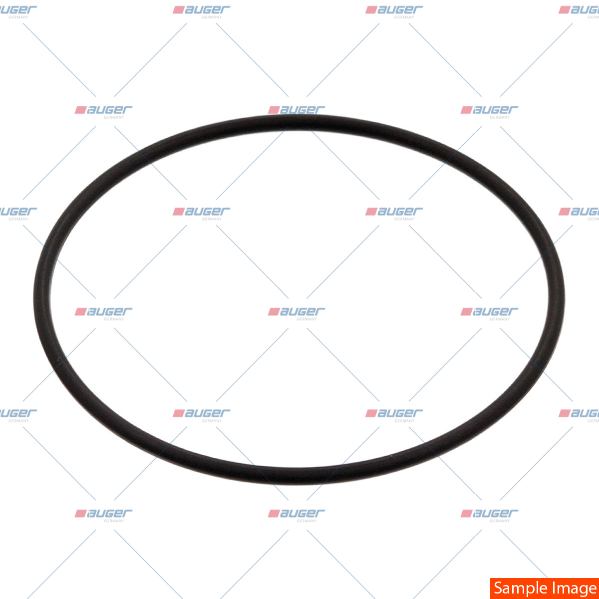 O-Ring