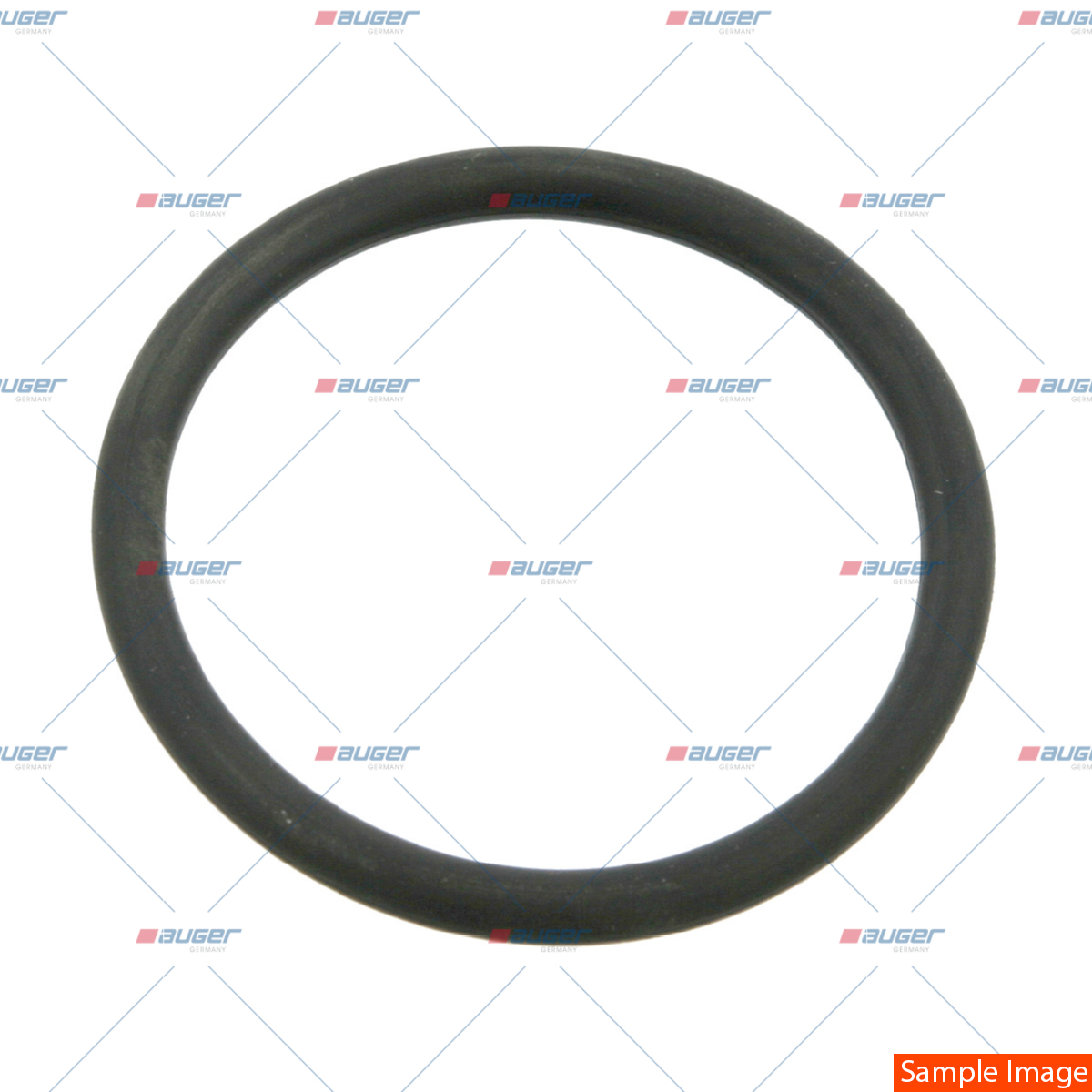 O-ring, Wasserpumpe