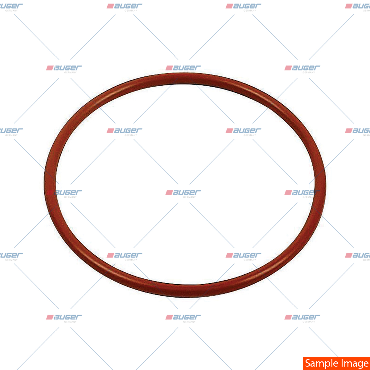 O-ring, Wasserpumpe