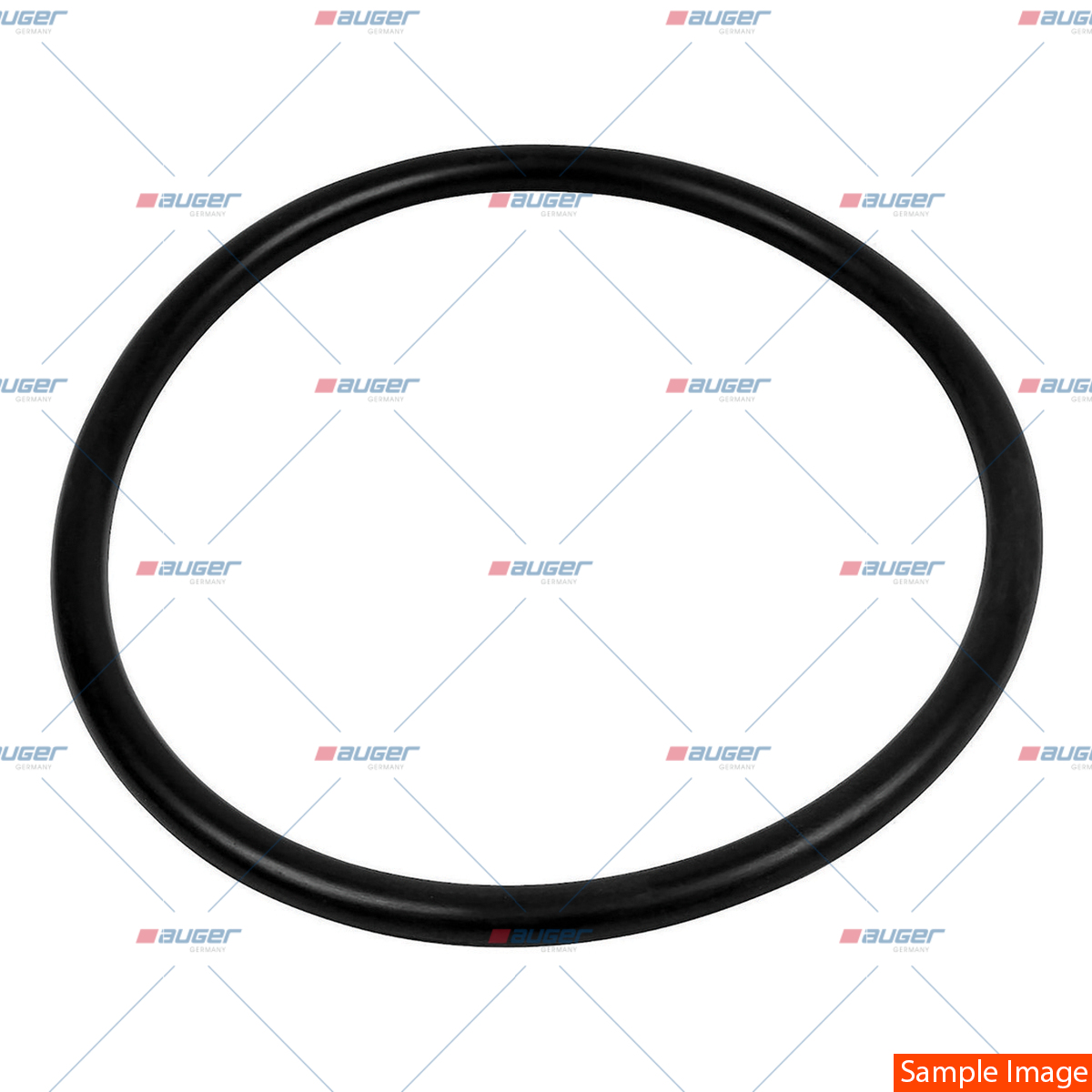 O-Ring