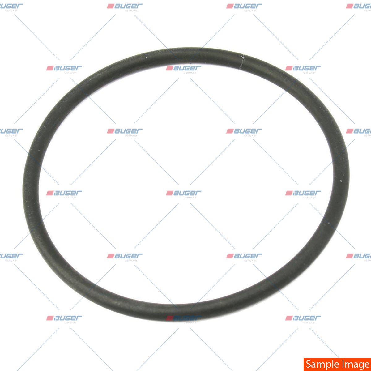 O-Ring