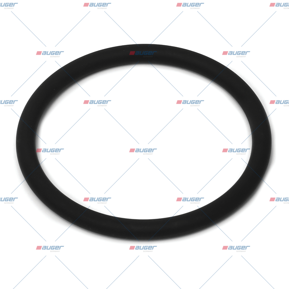 O-ring, Wasserpumpe