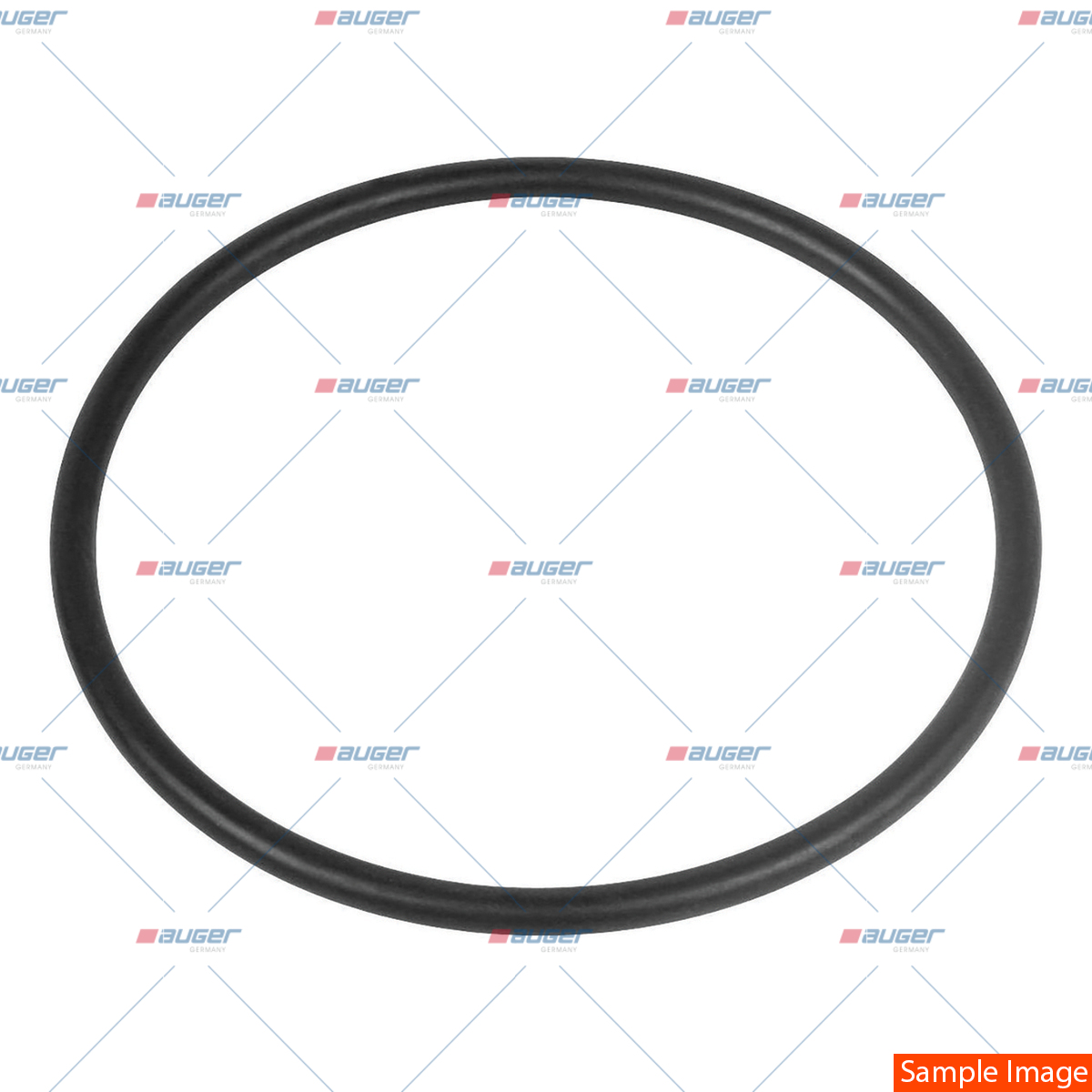 O-Ring