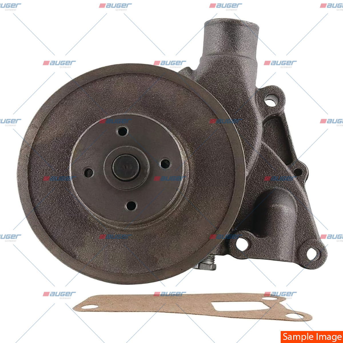 Wasserpumpe