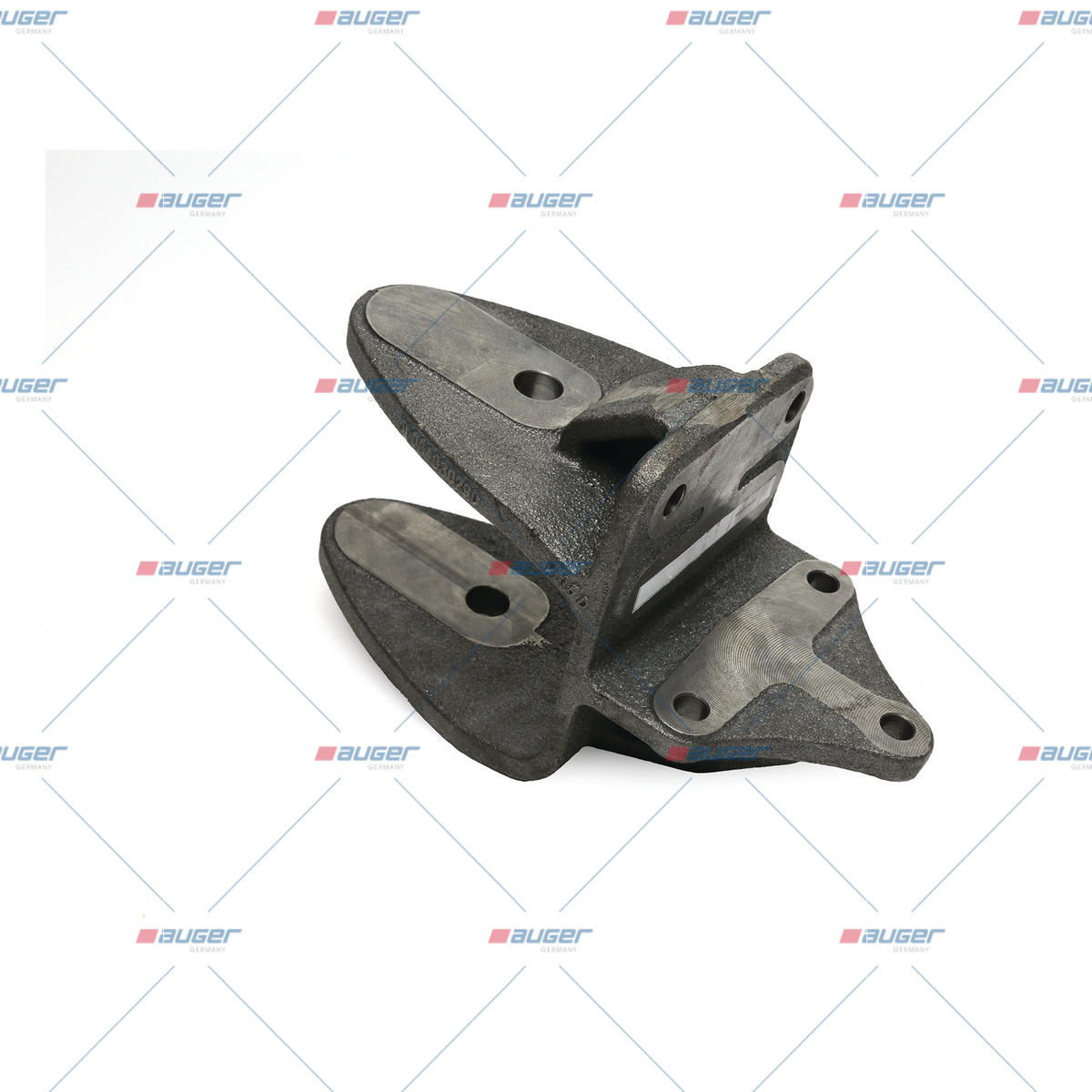 Halter, Feder