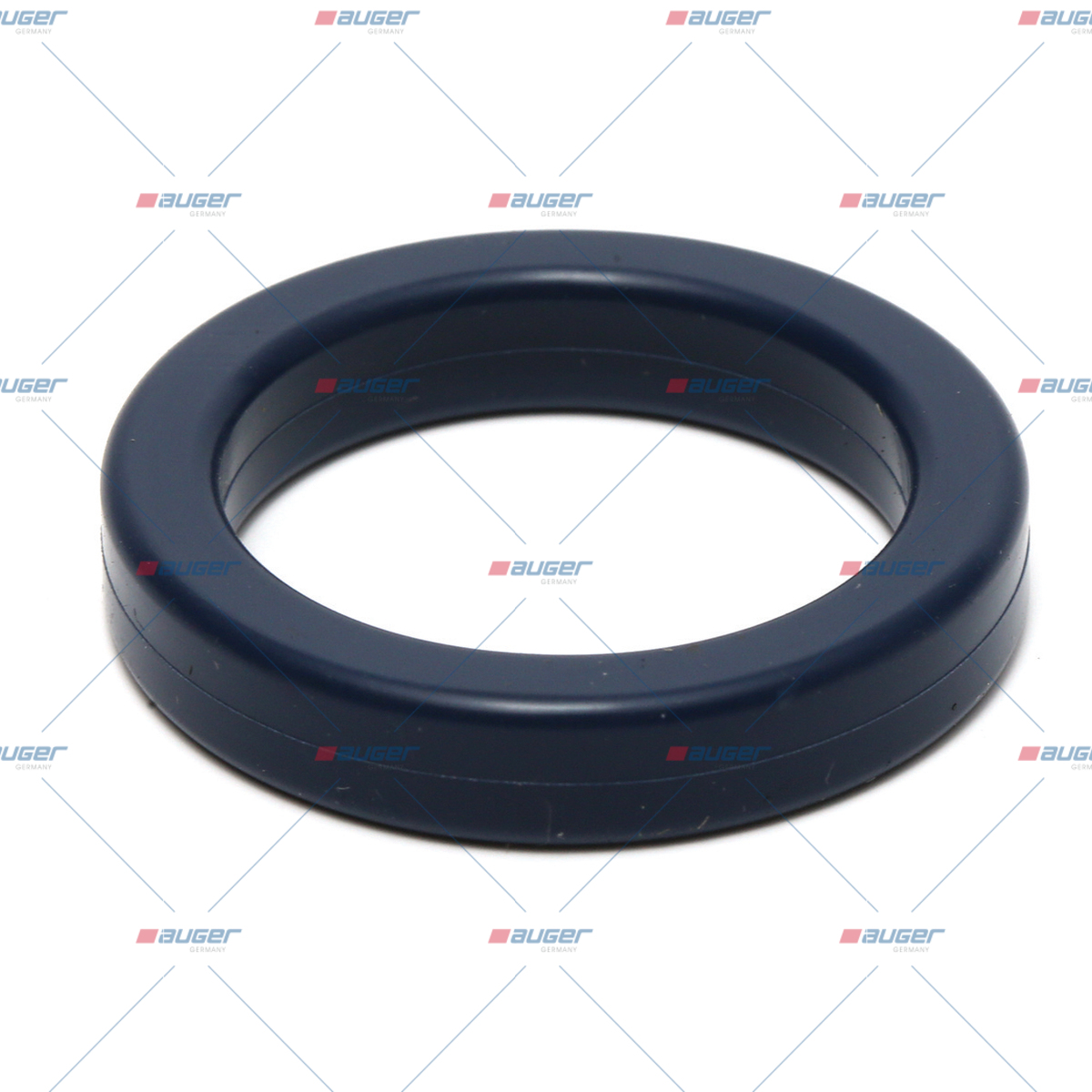 O-ring, Wasserpumpe