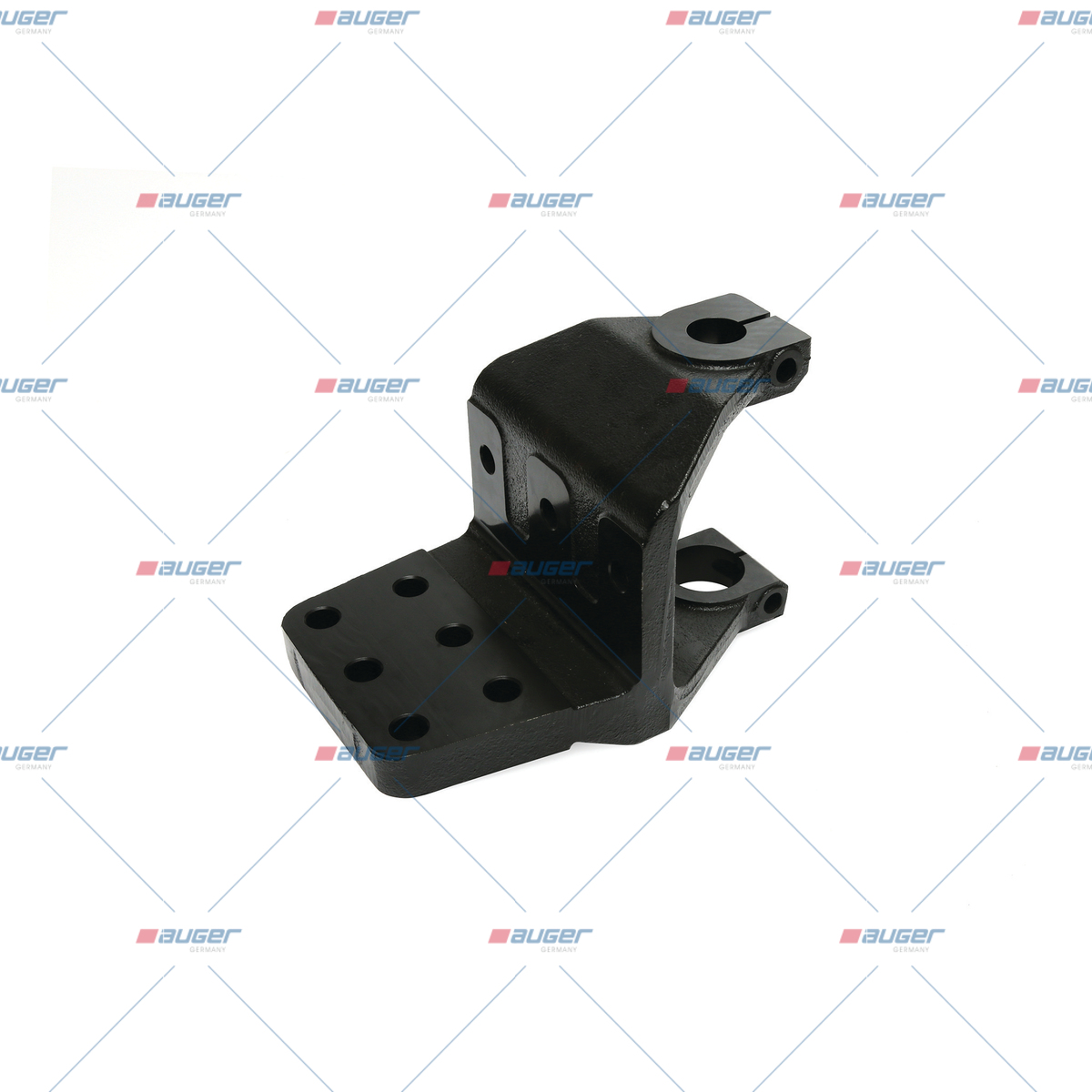 Halter, Feder