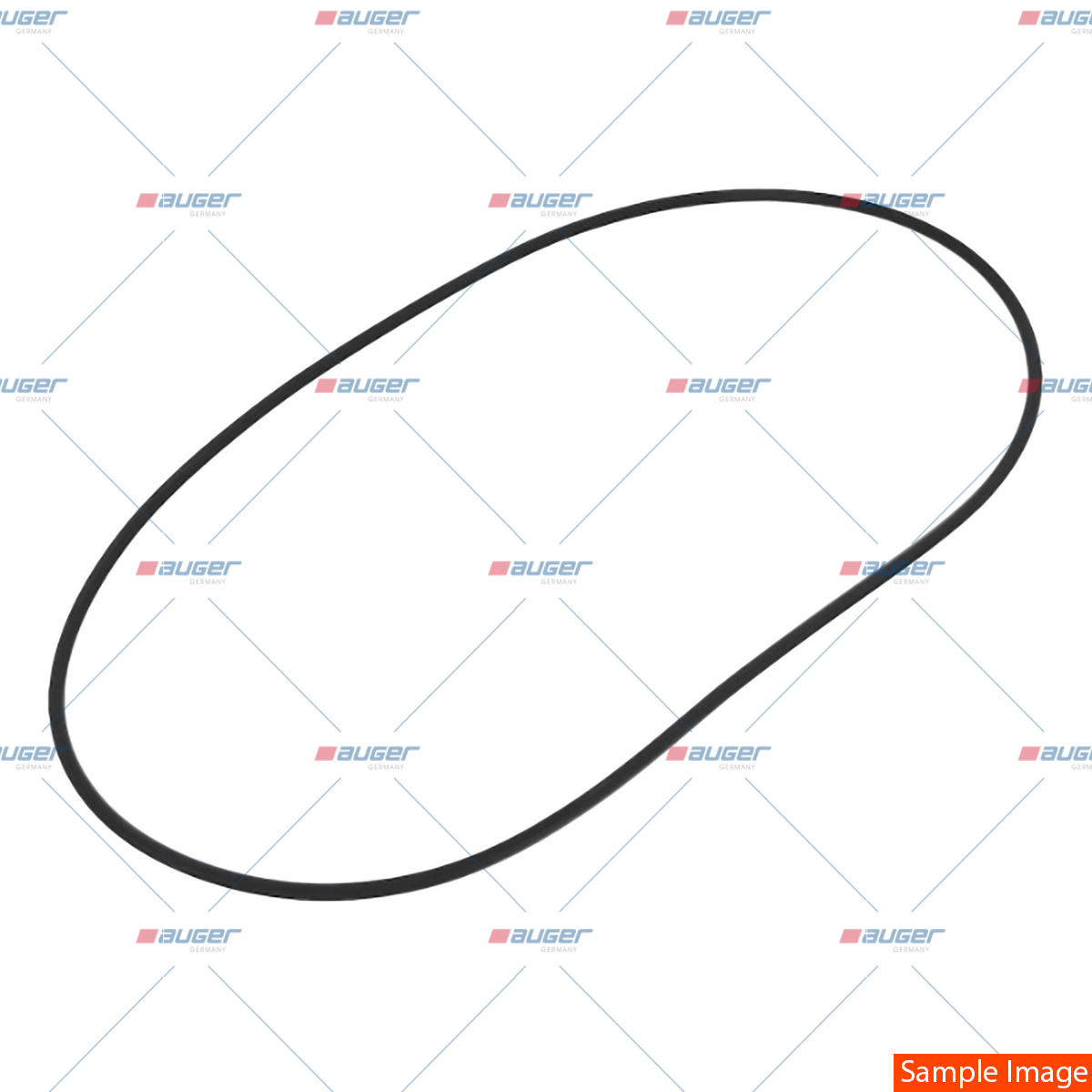 O-ring, Ausgleichgetriebe