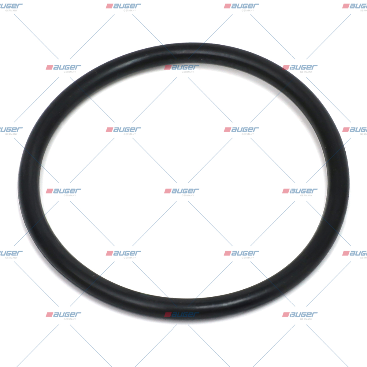 O-ring, Pumpen