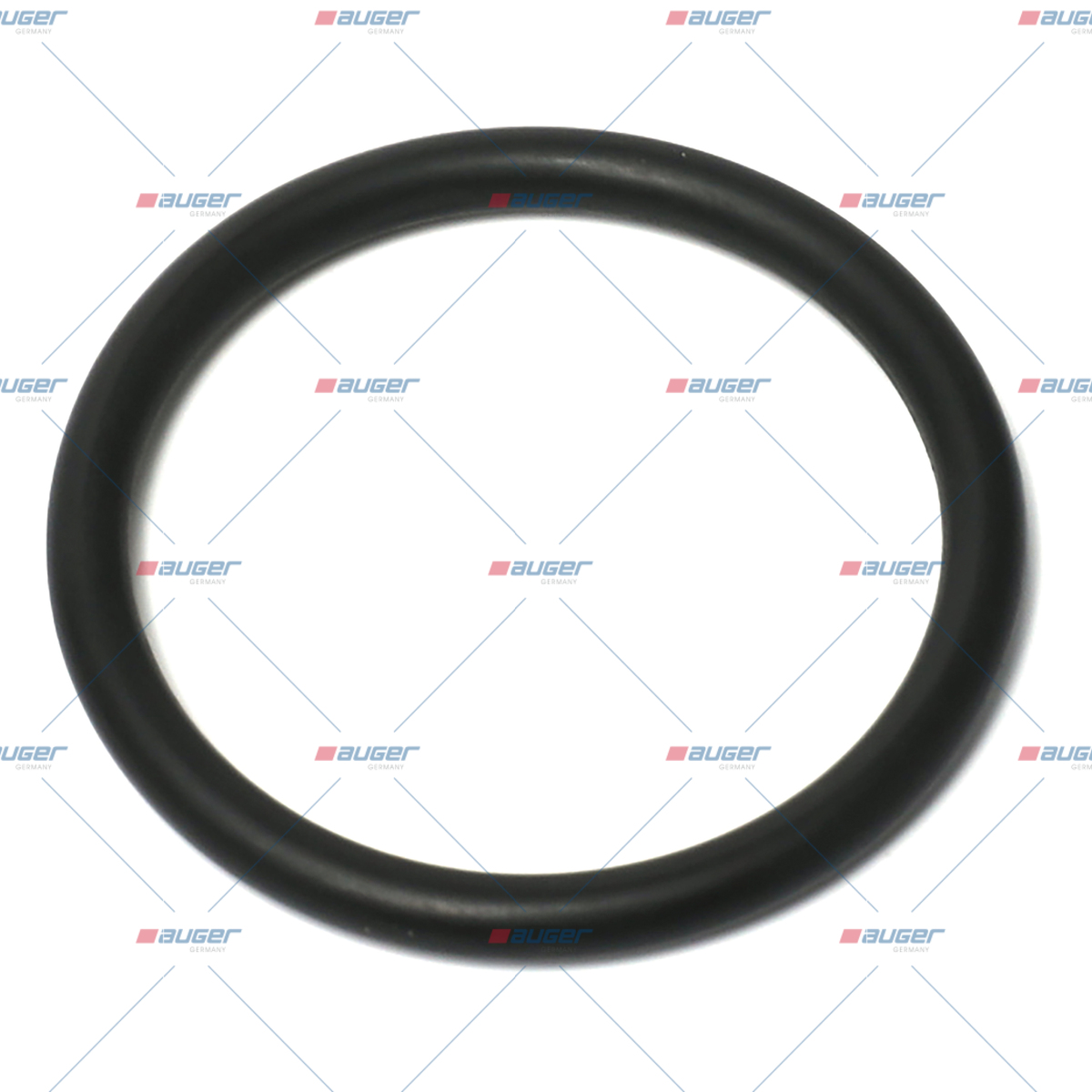 O-ring, Pumpen