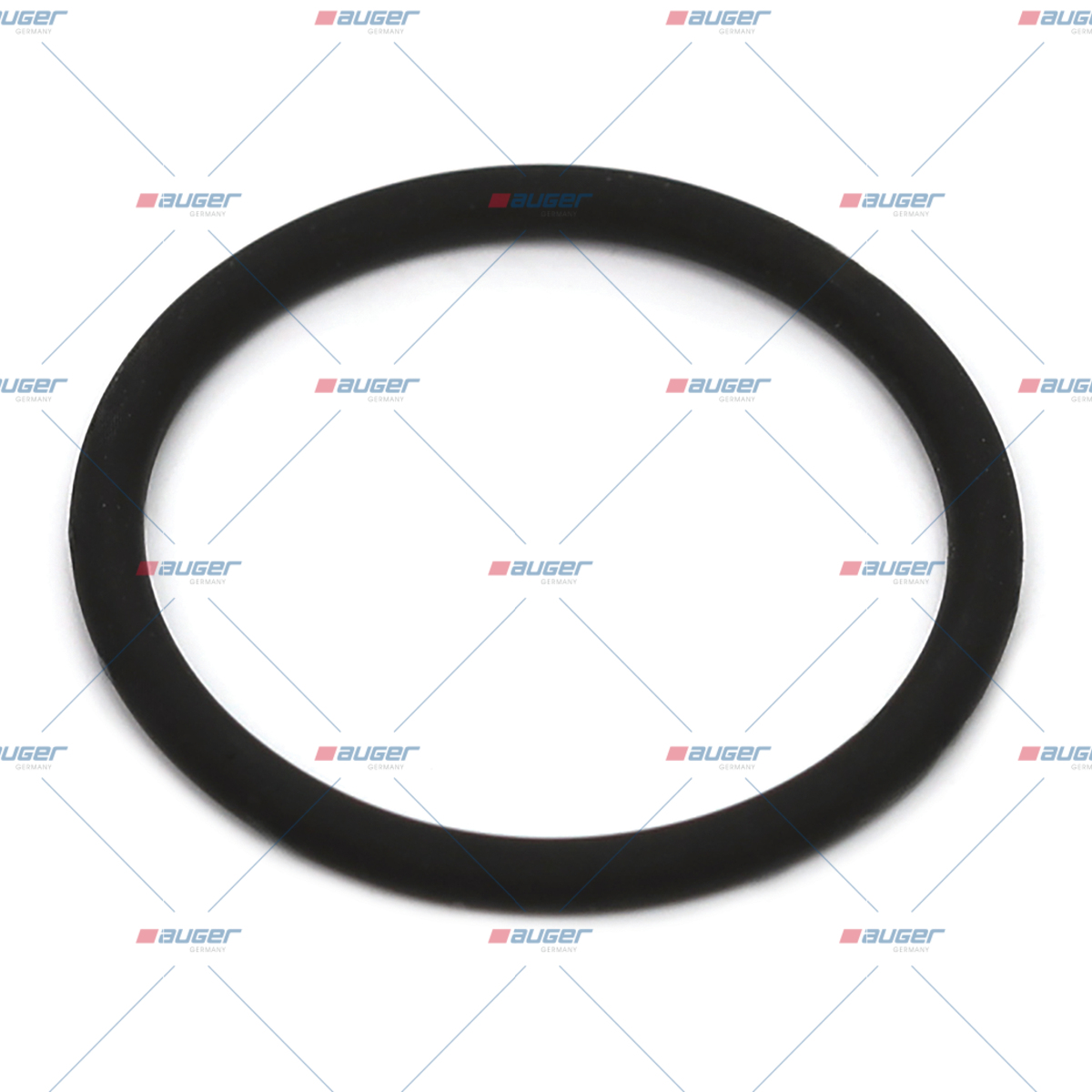O-ring, Oelpumpe