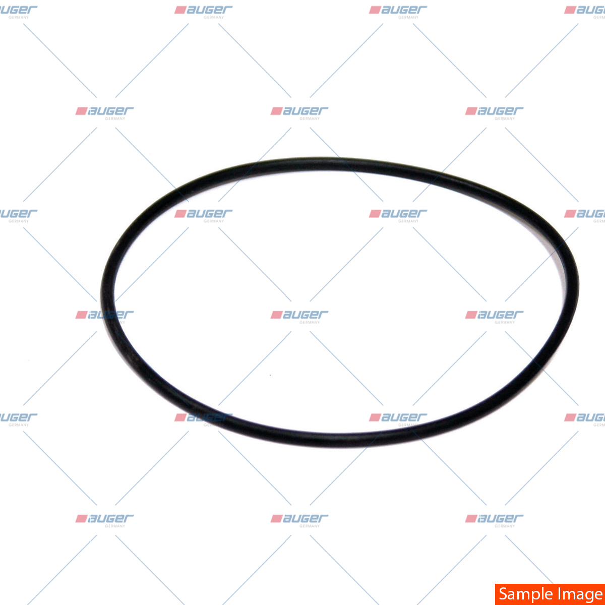 O-ring, Kraftstoffilter