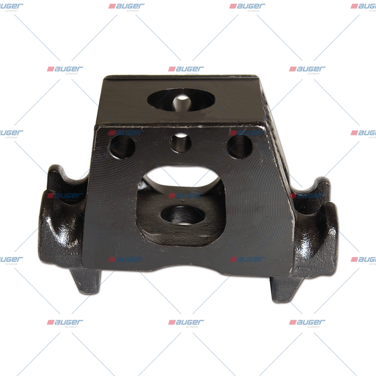 Halter, Feder