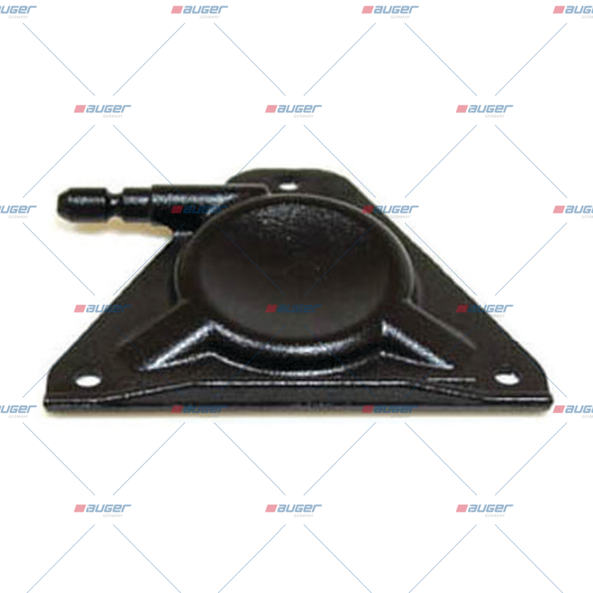 Halter, Feder