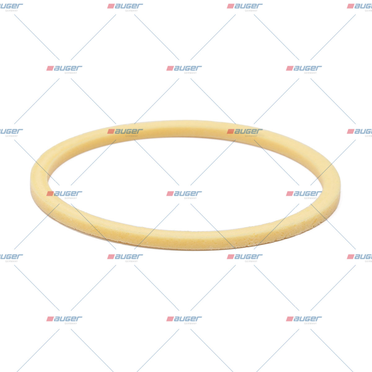 Abdichtungsring (Vul.)