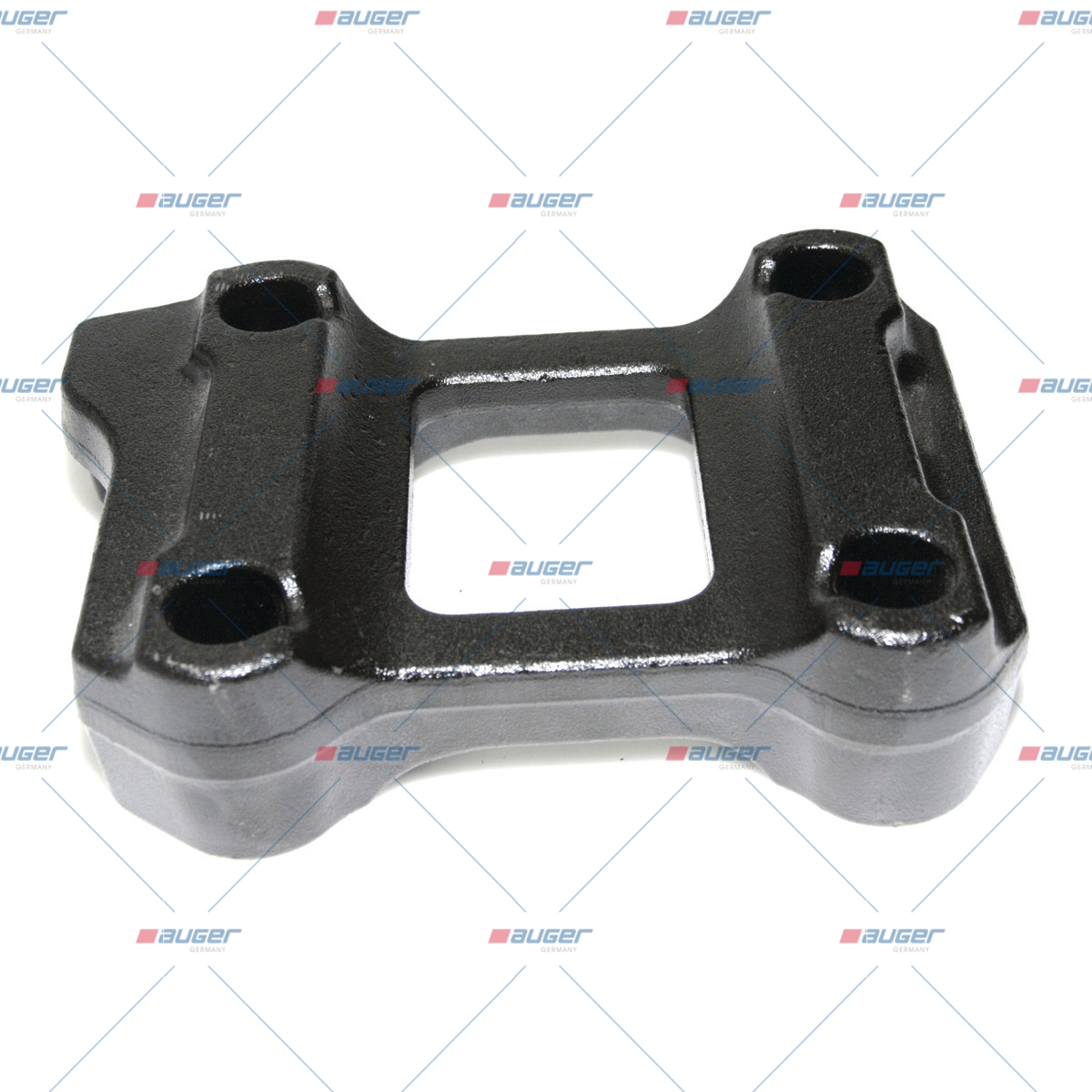 Halter, Feder