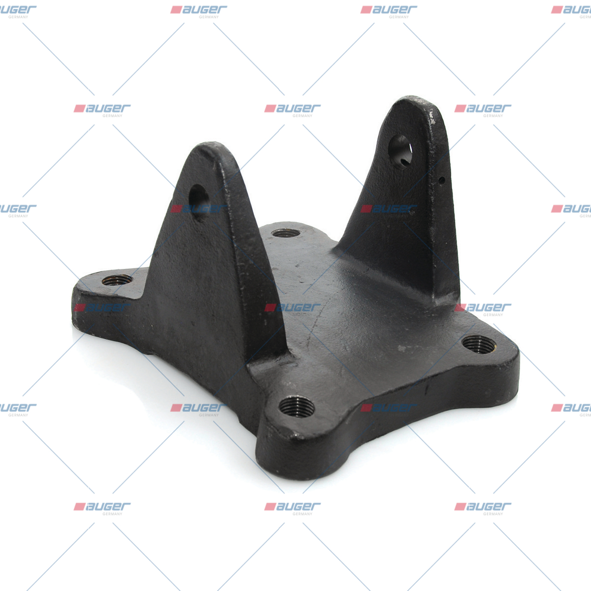 Halter, Feder