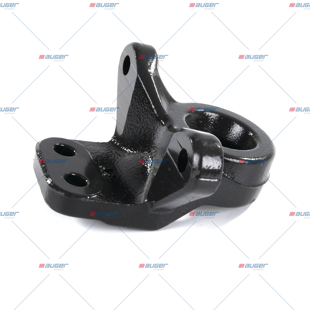 Halter, Feder