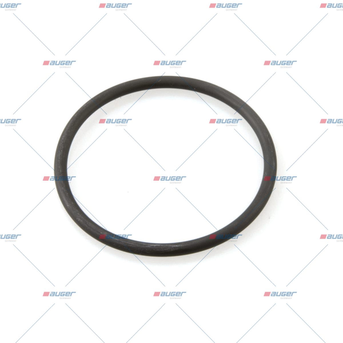 O-ring, Wasserpumpe