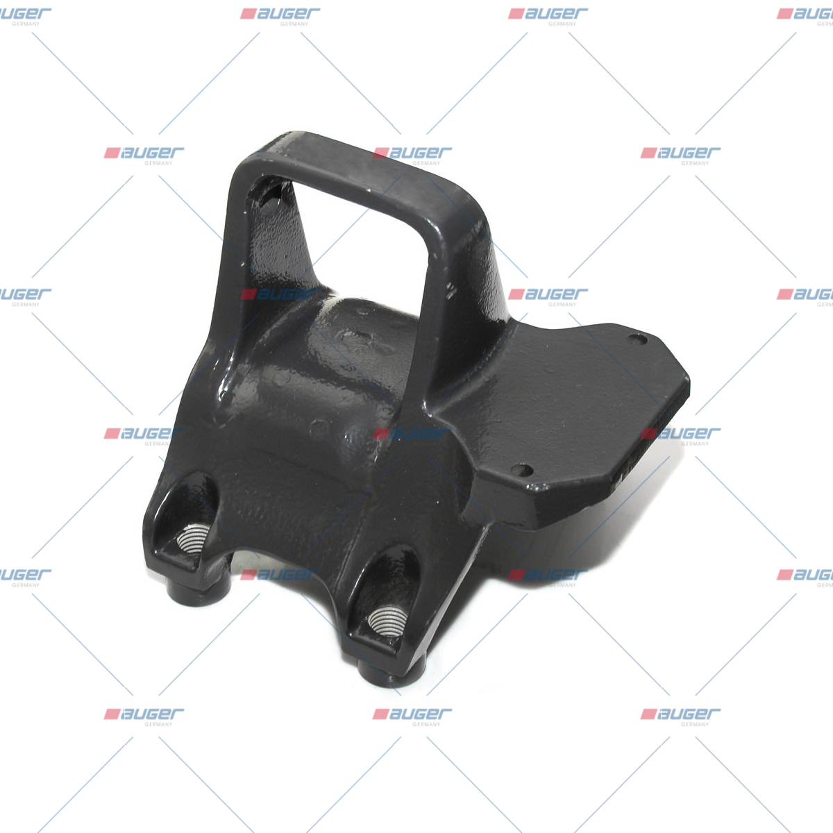 Halter, Feder
