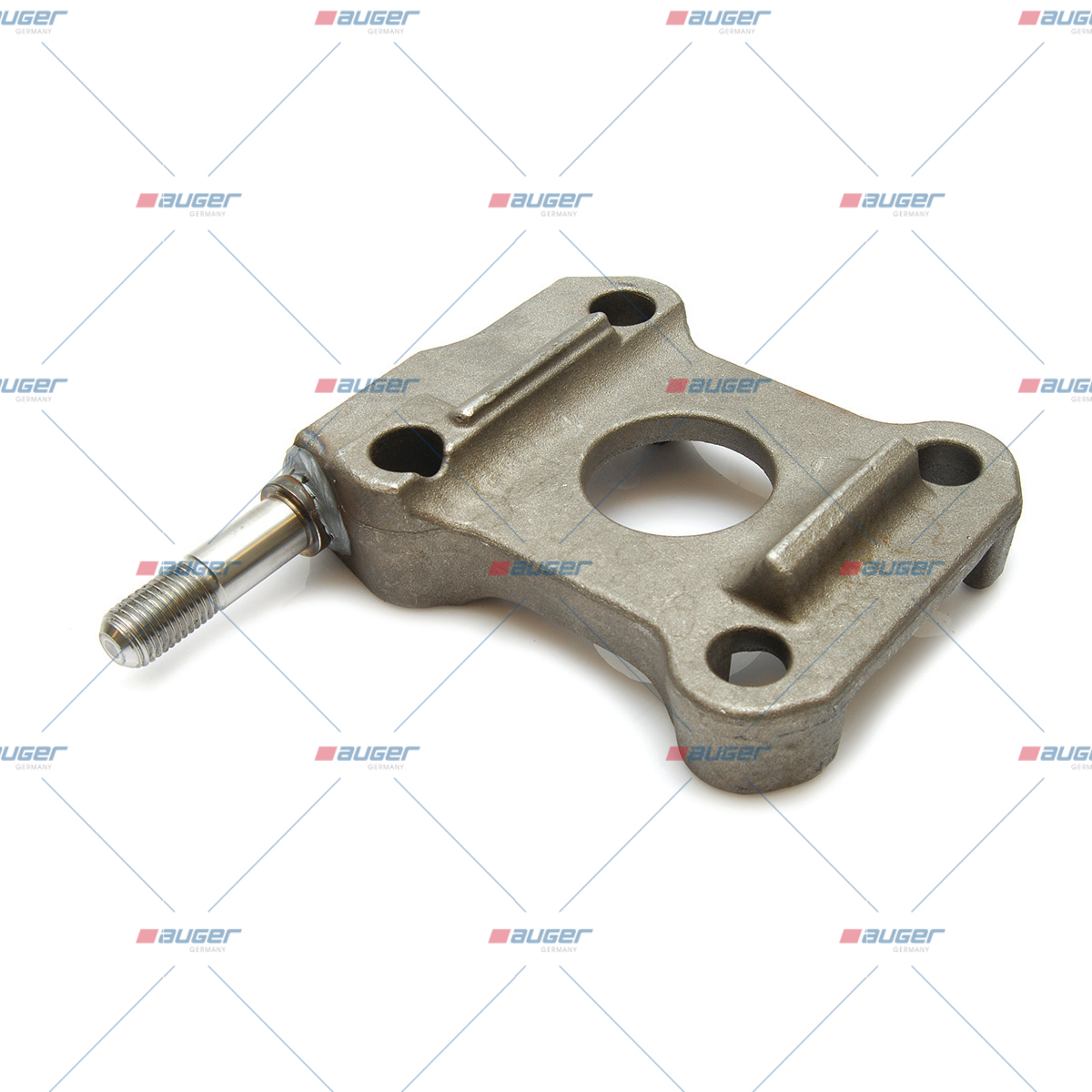 Halter, Feder