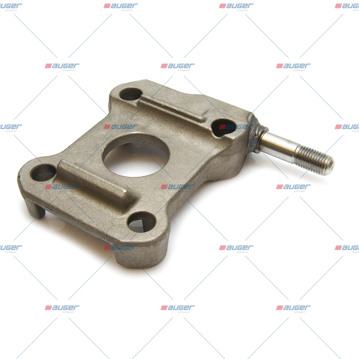 Halter, Feder