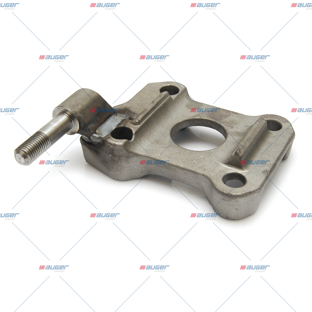 Halter, Feder