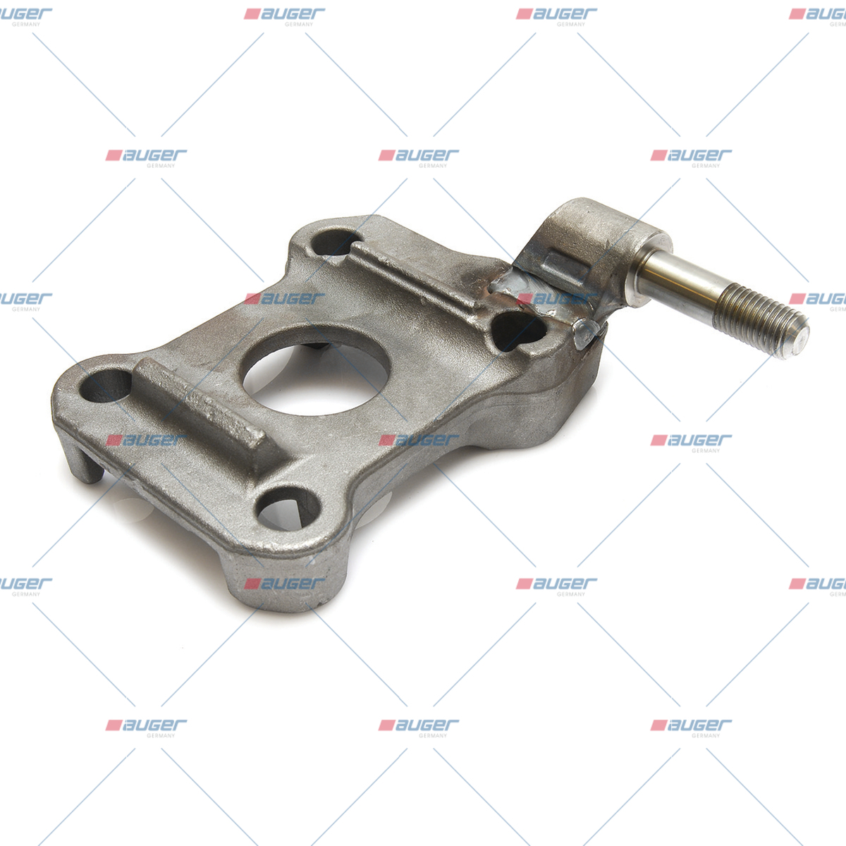 Halter, Feder