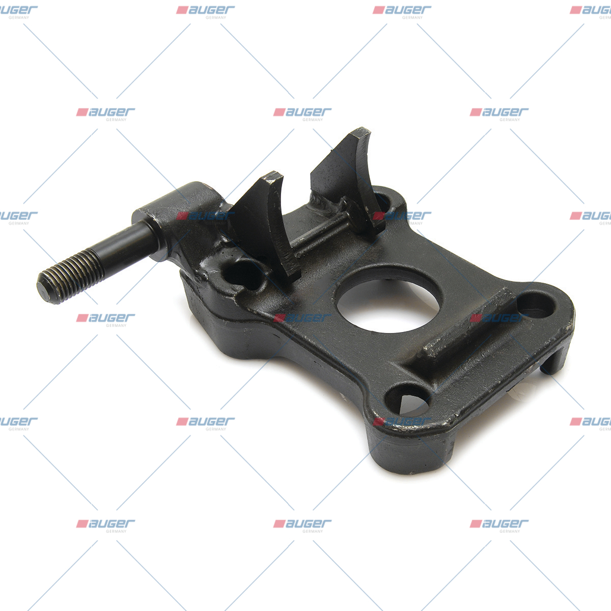 Halter, Feder