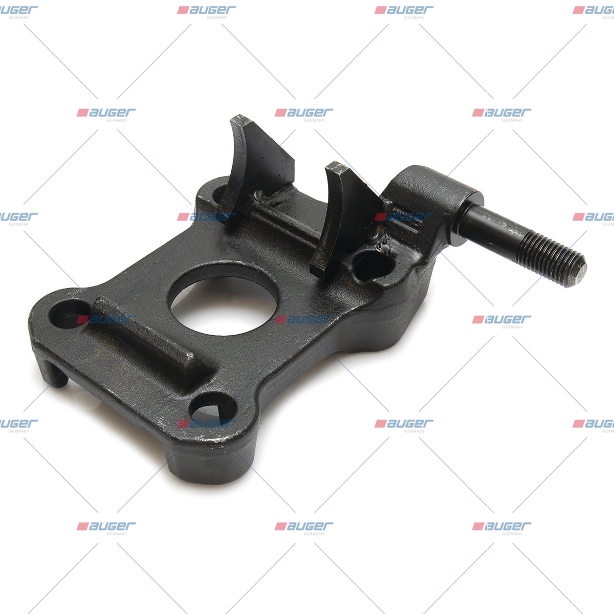 Halter, Feder