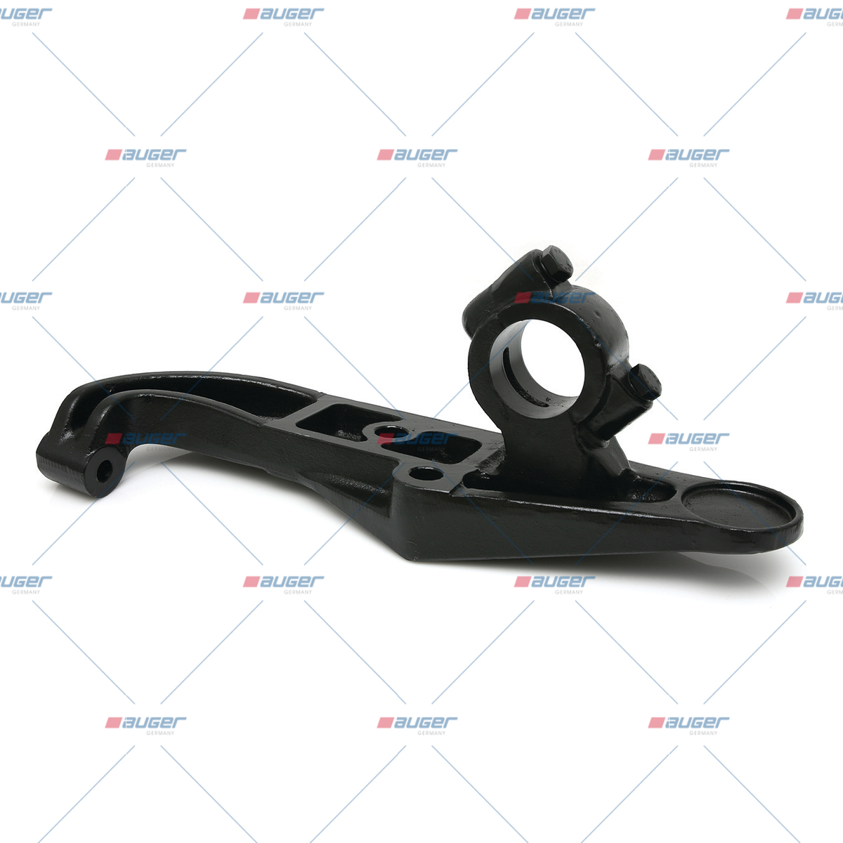 Halter, Feder