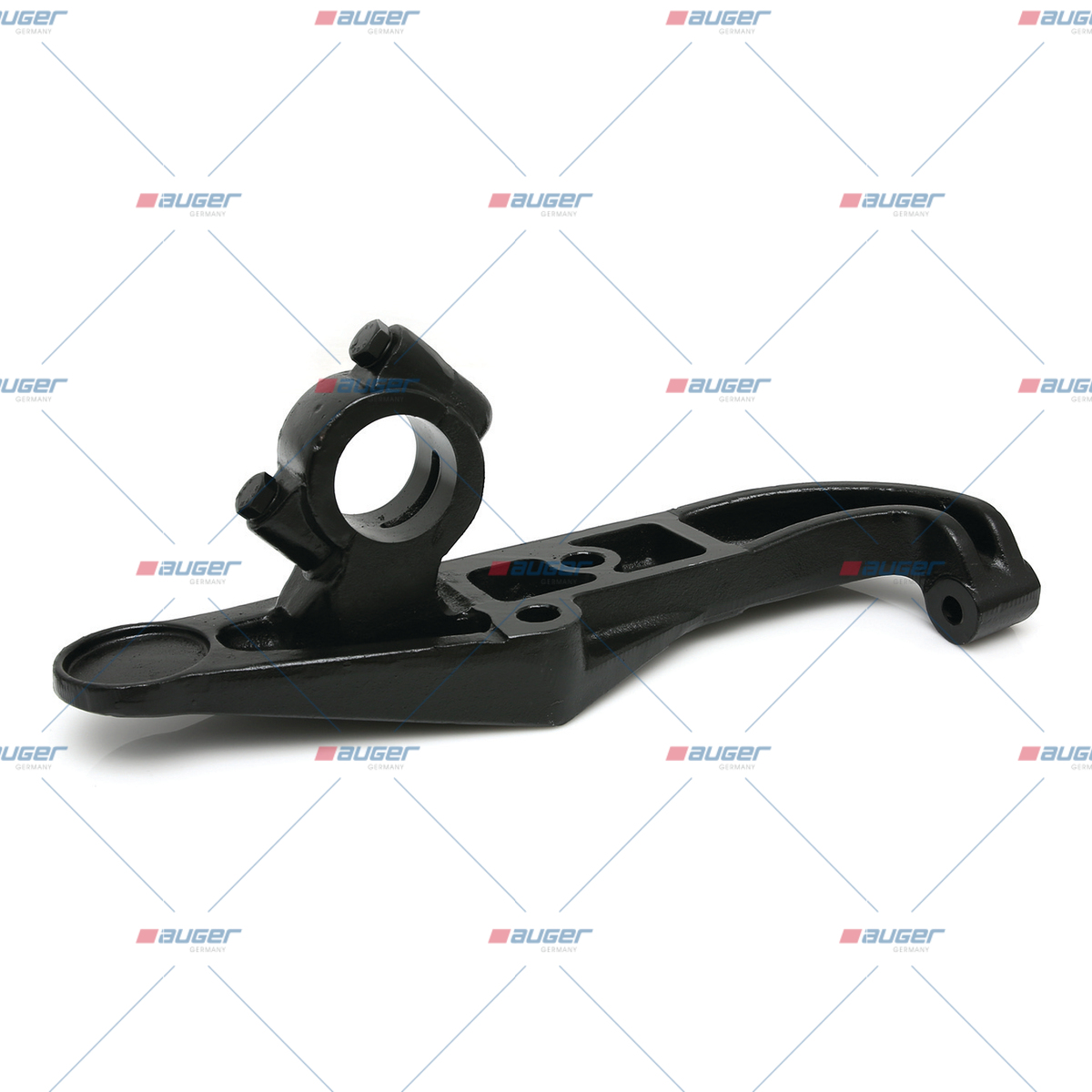 Halter, Feder