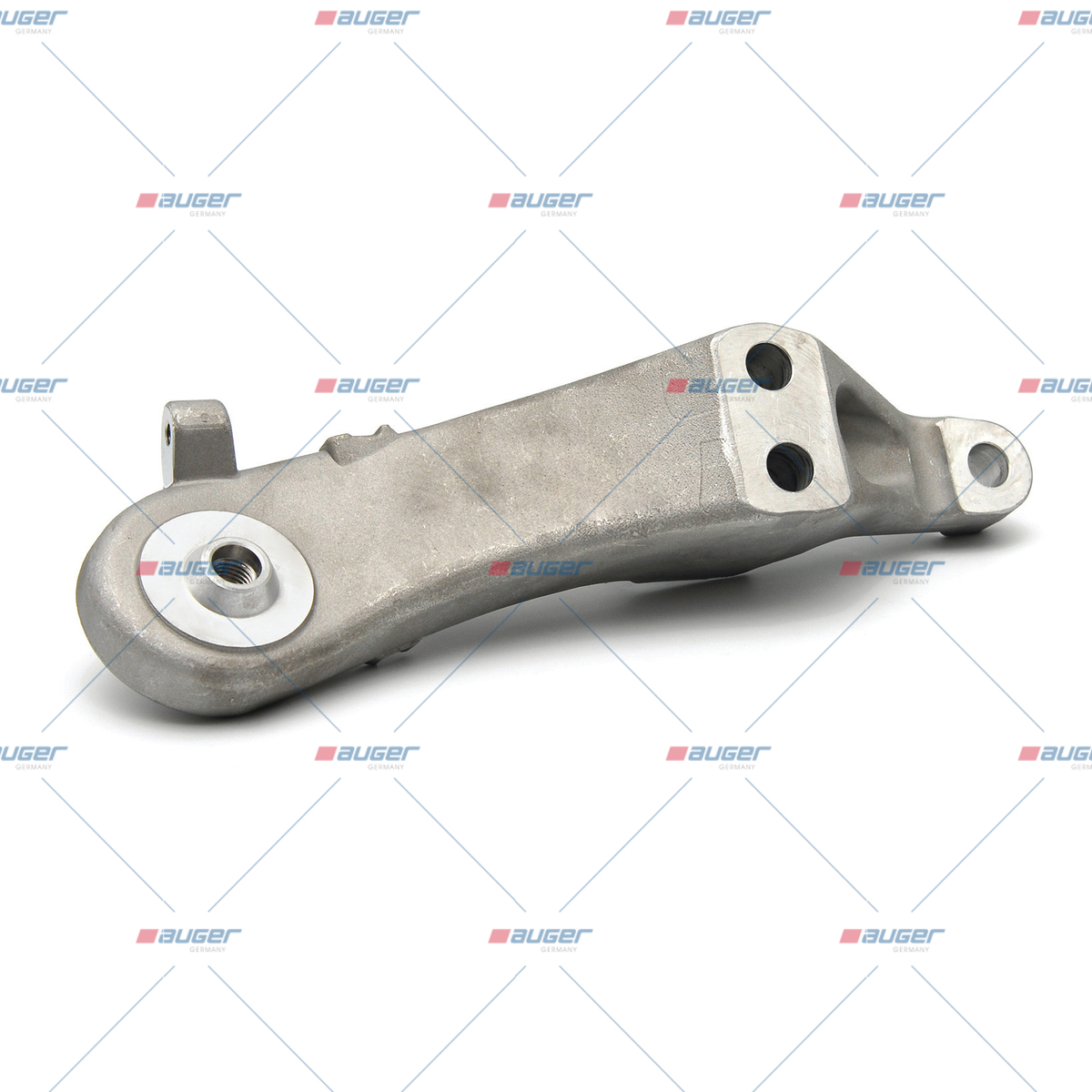 Halter, Motor