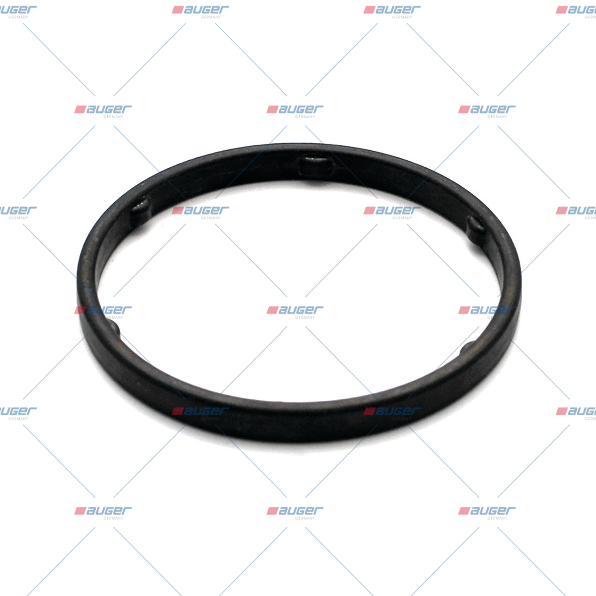 Dichtring, Wasserpumpe