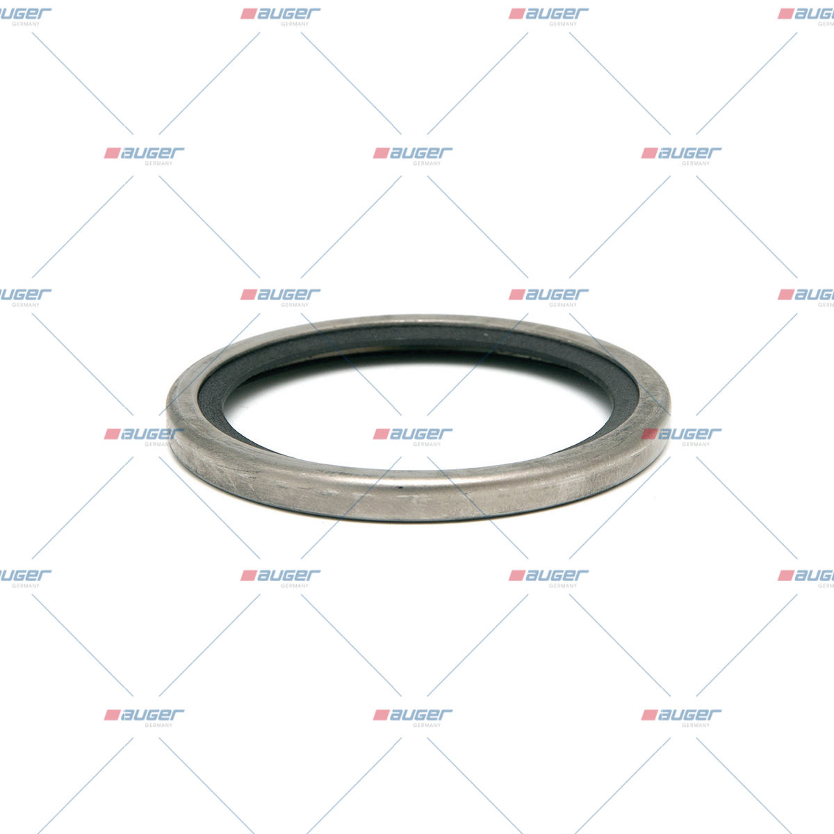 Dichtring, Wasserpumpe