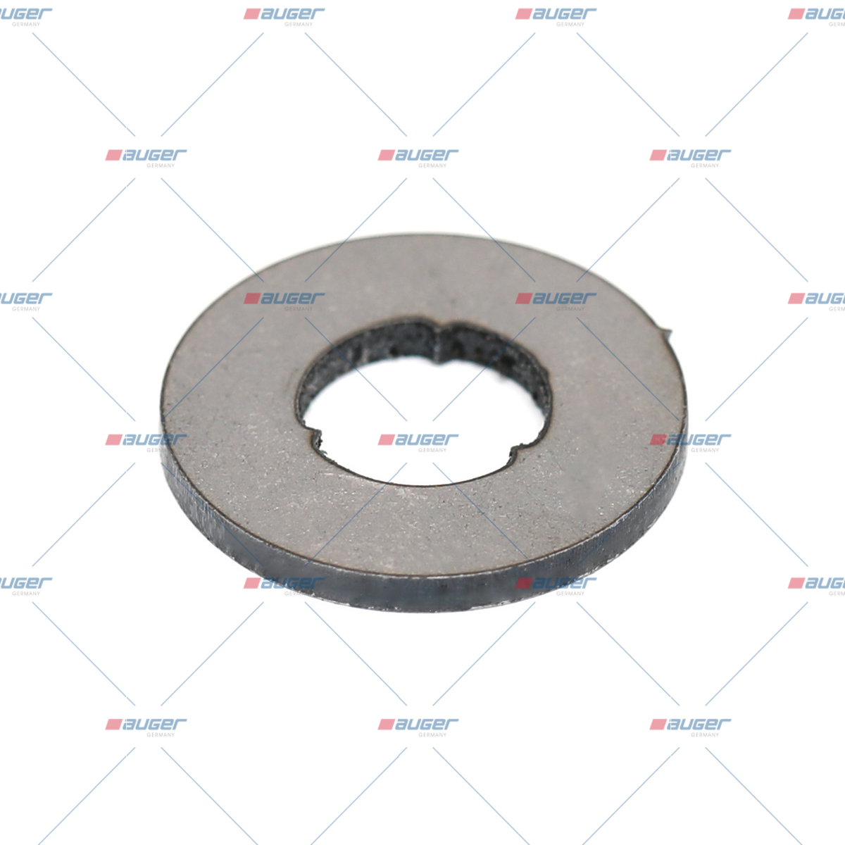 Dichtung, Einspritzpumpe