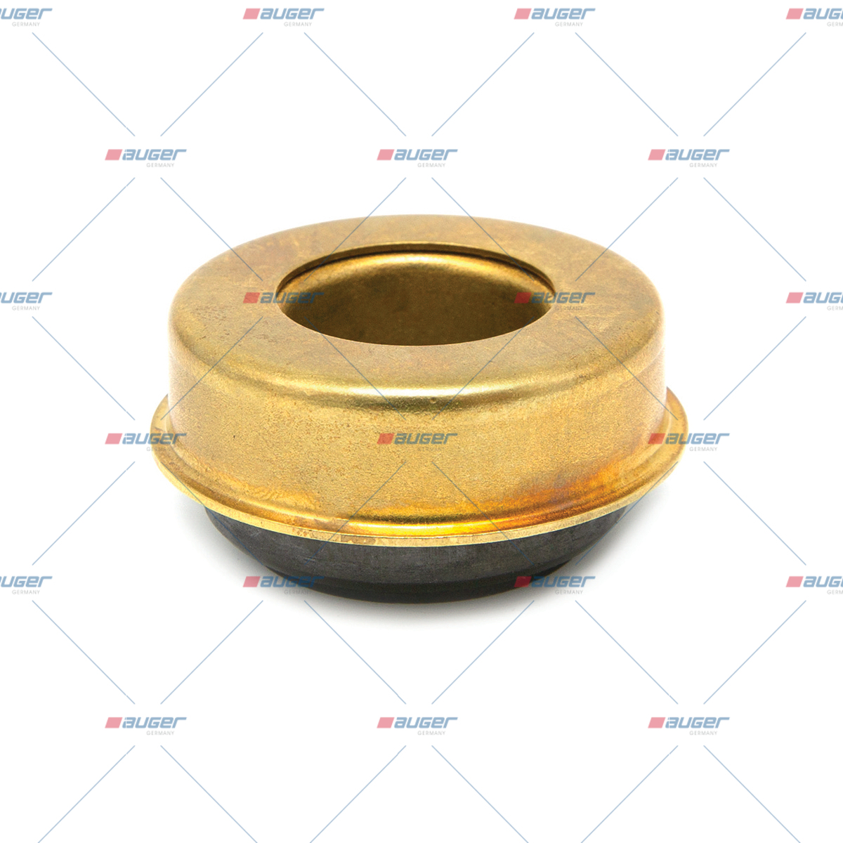 Dichtring, Wasserpumpe