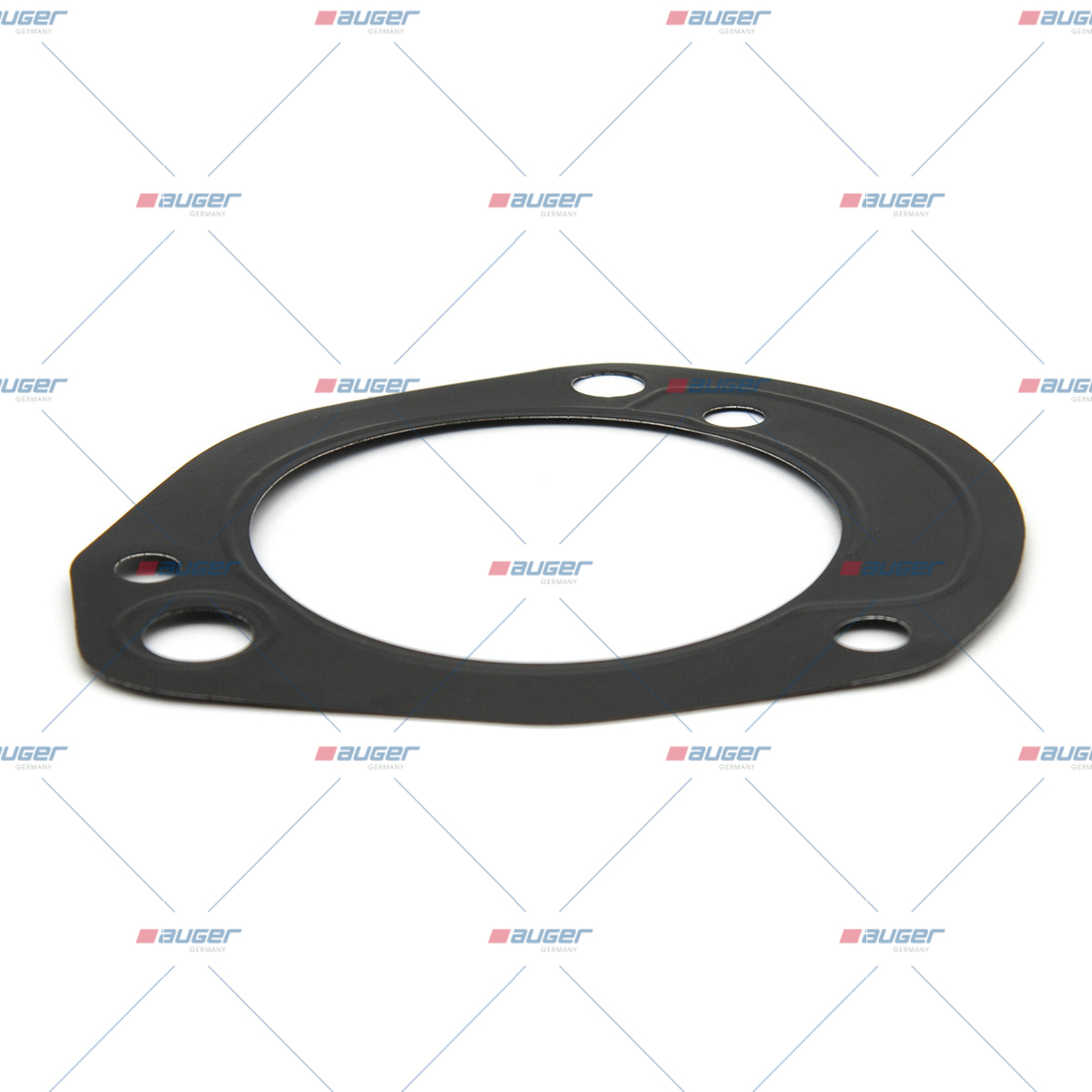 Dichtung, Foerderpumpe