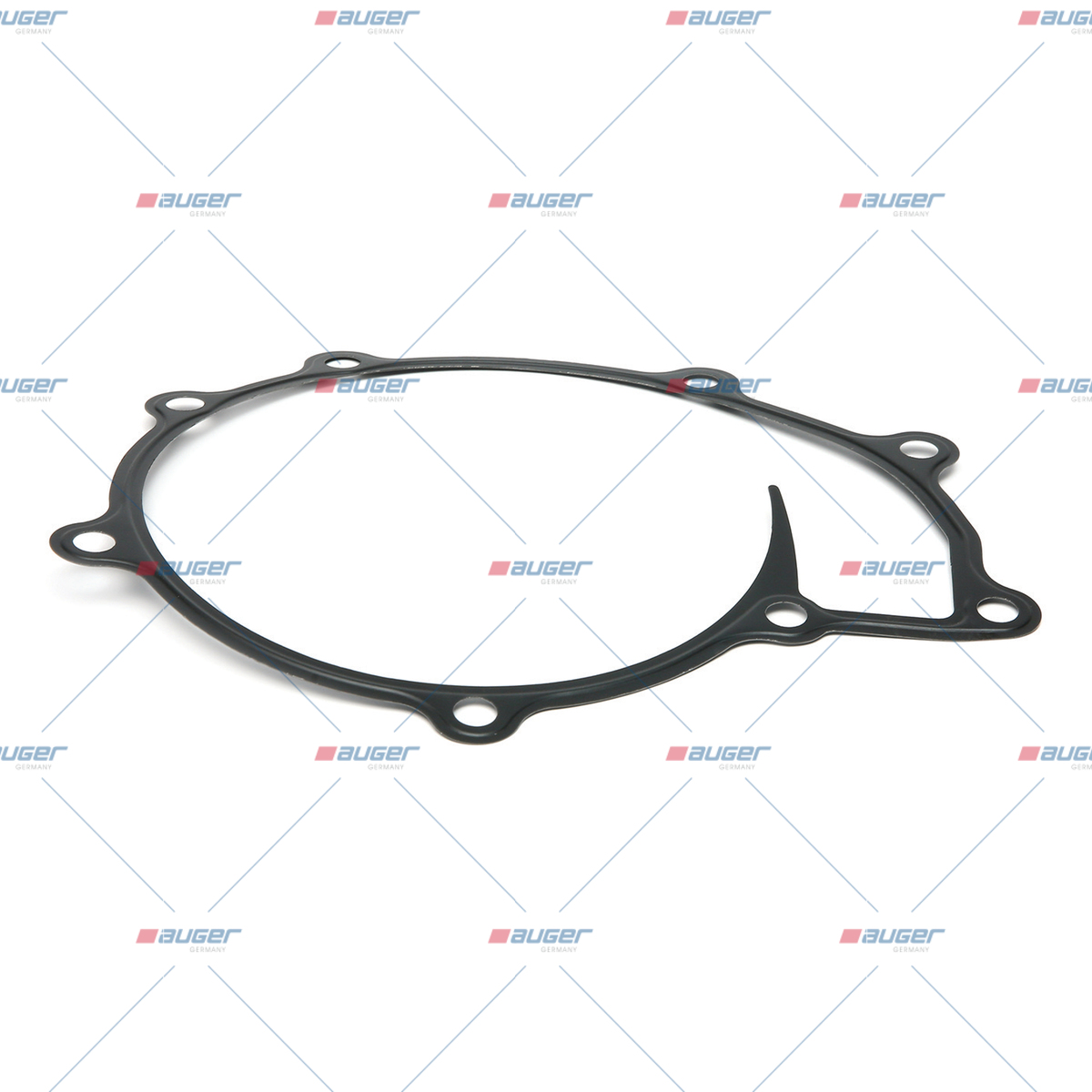 Dichtung, Wasserpumpe