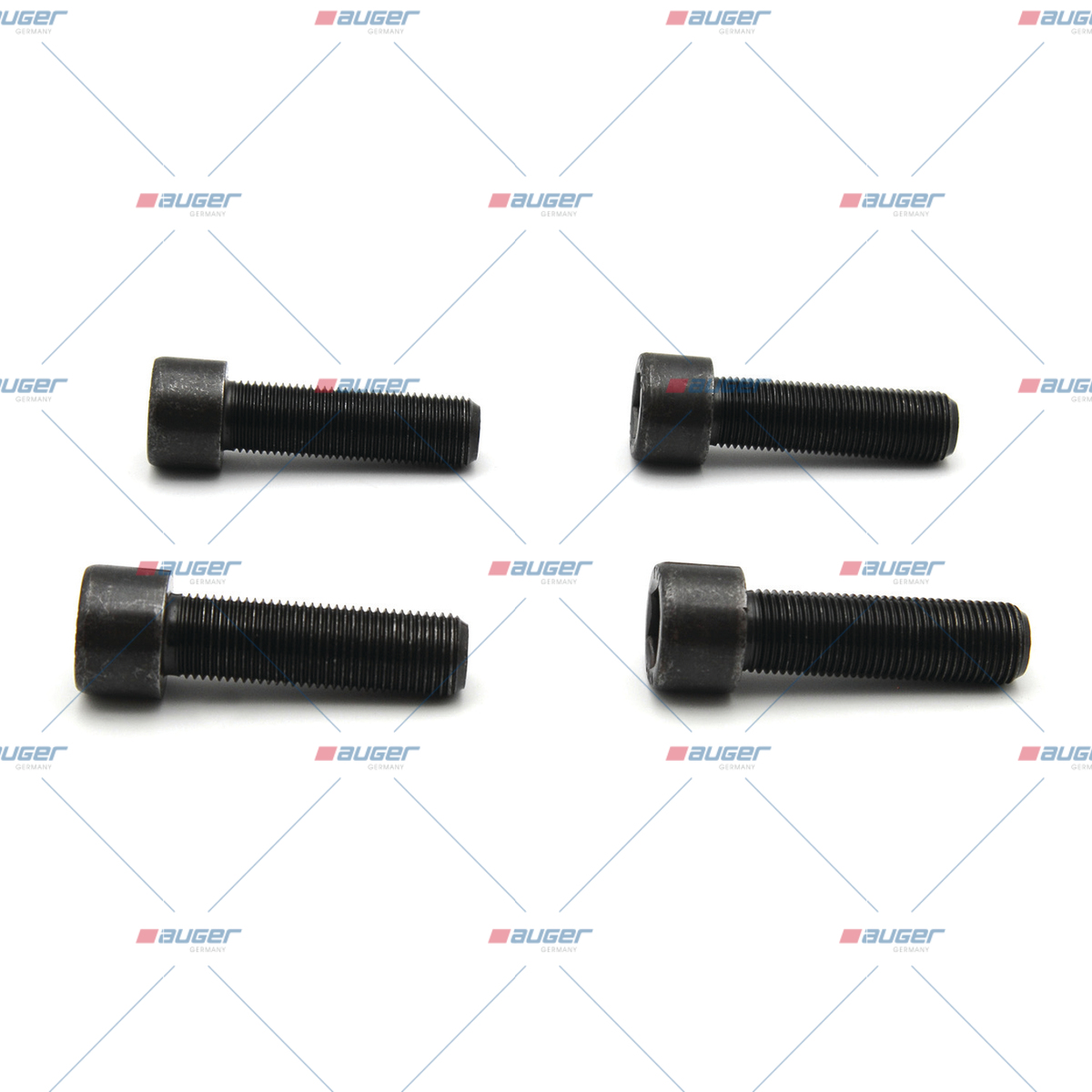 Reparatursatz, Bremssattel