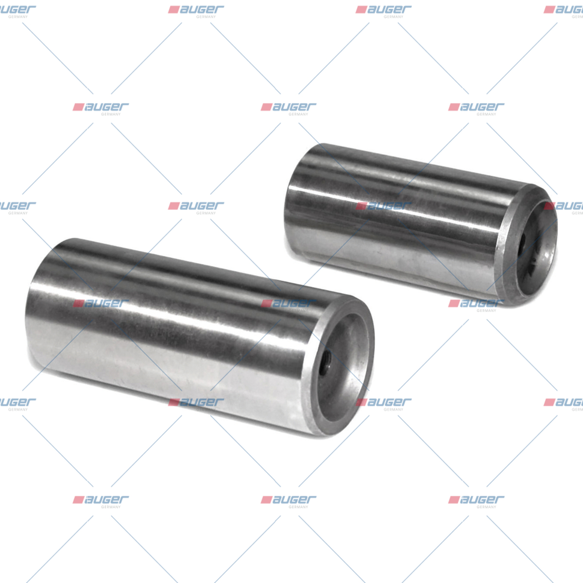 Achsschenkelbolzensatz