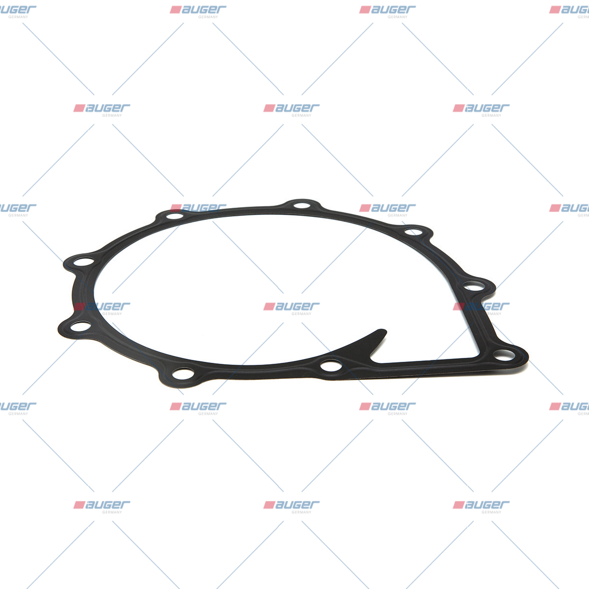 Dichtung, Wasserpumpe