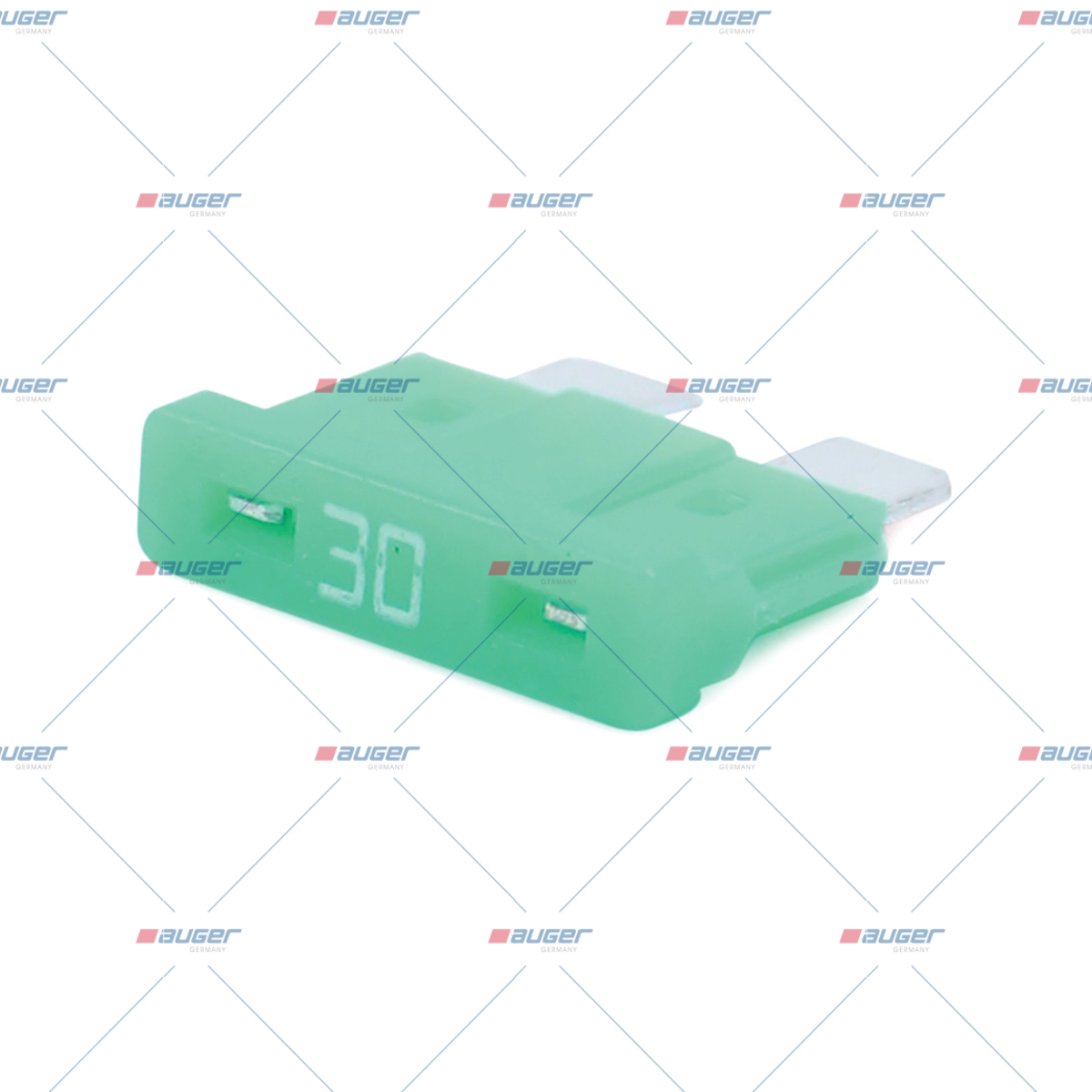 Sicherung, Zentral-Elektrikeinheit