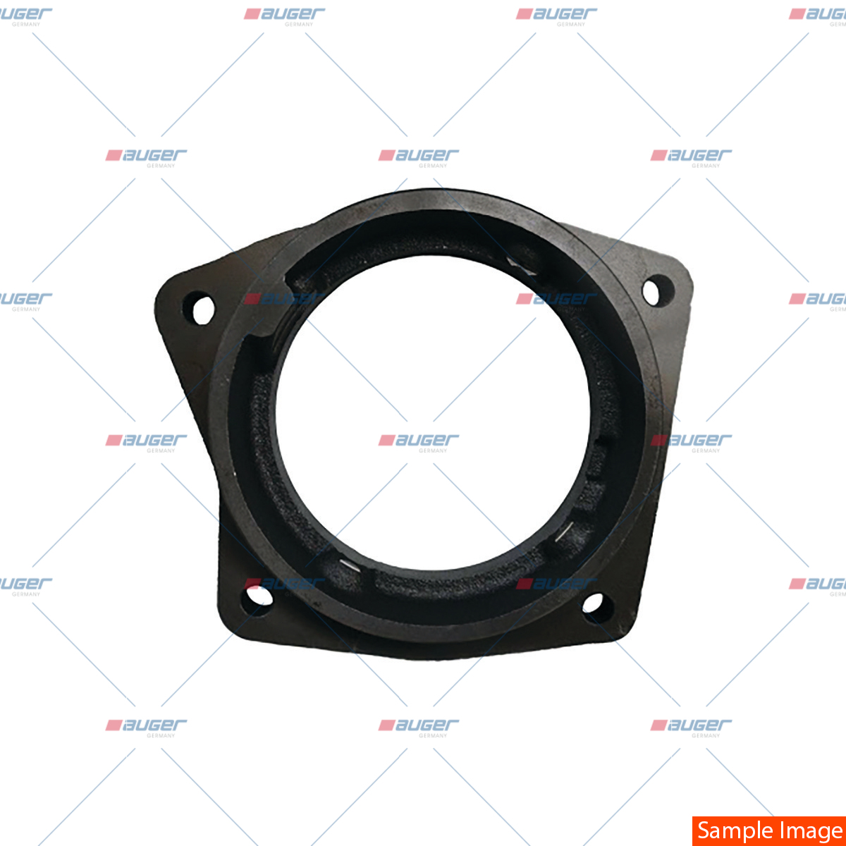 Flansch, Einspritzpumpe