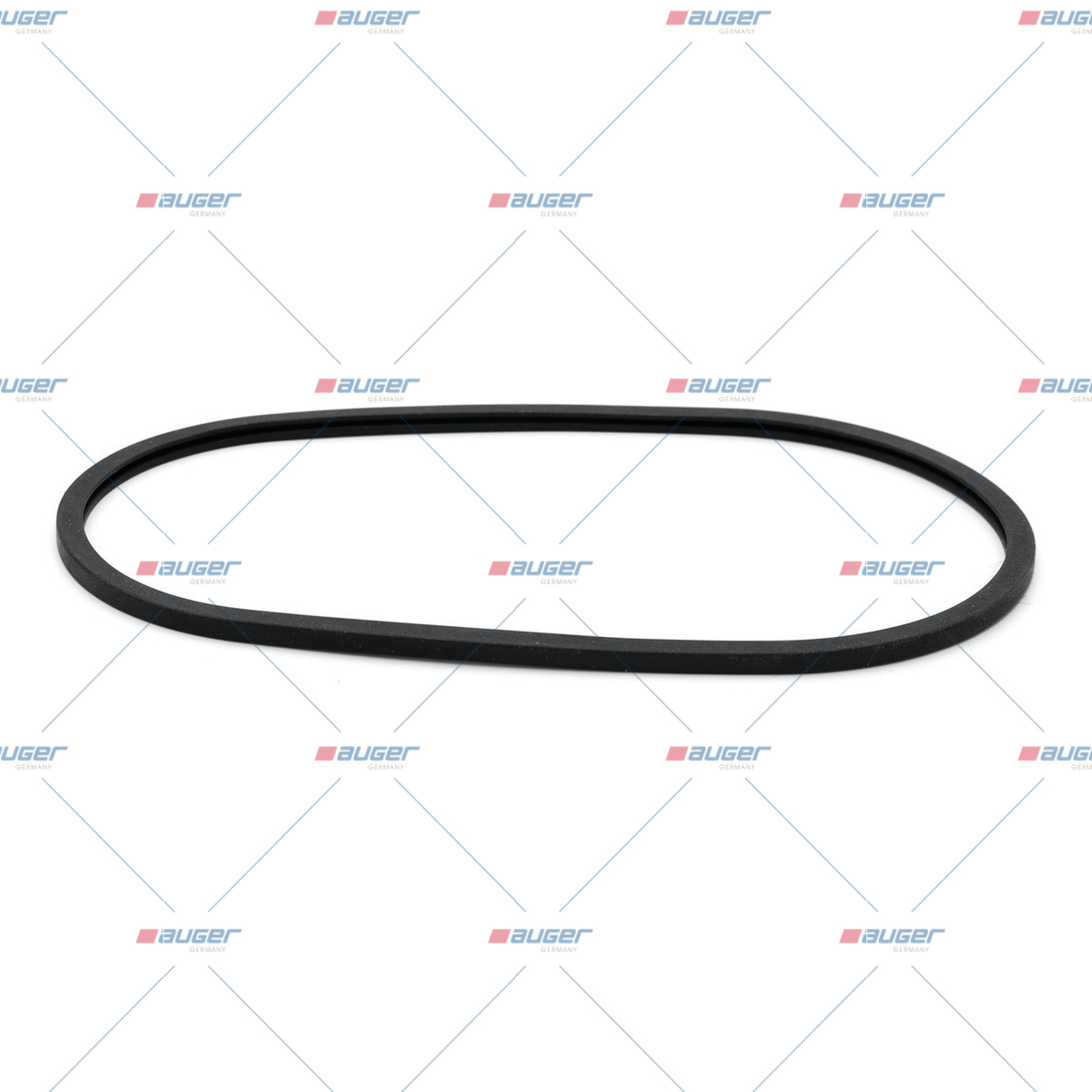 Dichtung, Thermostat