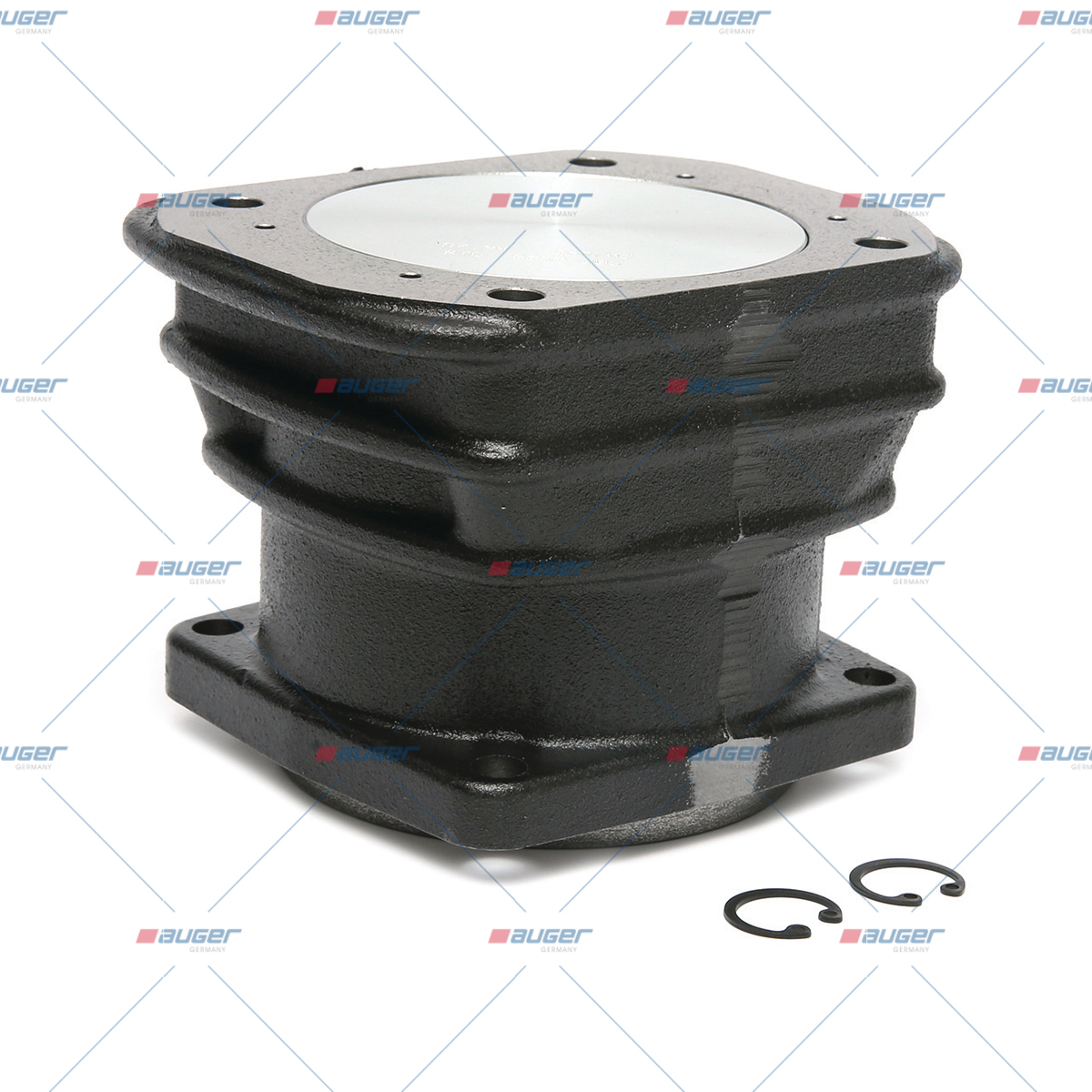 Zylinderrohr & Kolben Ring